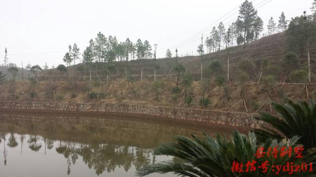 農(nóng)村歐式別墅，10年內(nèi)很難有人超越！