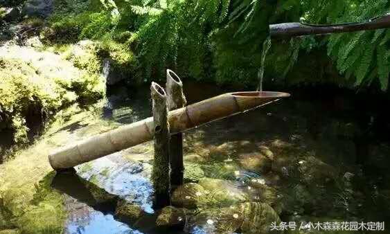 別墅花園之魚池設(shè)計(jì)