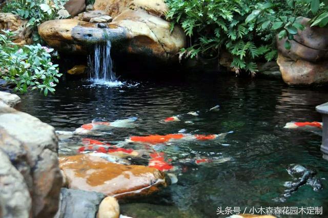 別墅花園之魚池設(shè)計(jì)