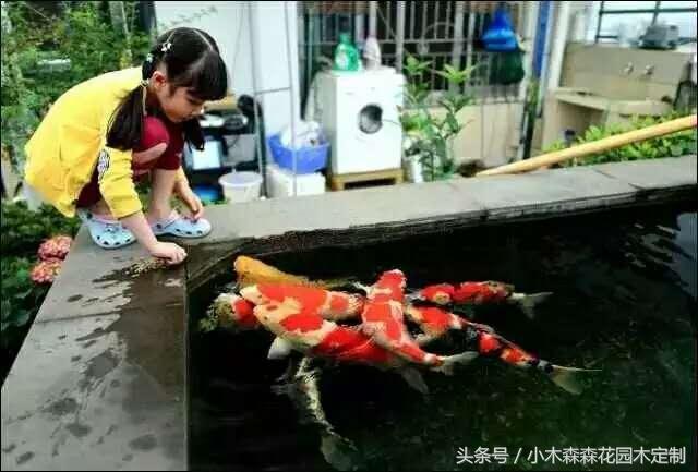 別墅花園之魚池設(shè)計(jì)