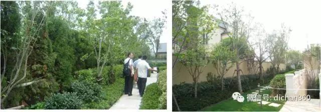 綠城別墅項目景觀設(shè)計手法（全套）