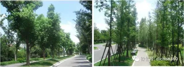 綠城別墅項目景觀設(shè)計手法（全套）