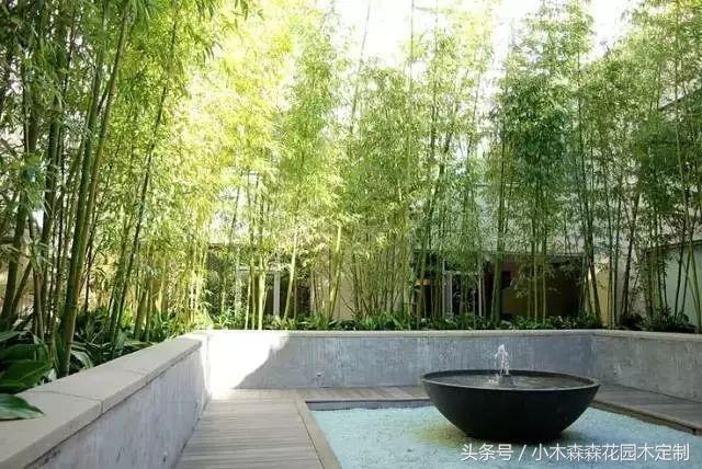 2024新歐式極簡主義別墅花園