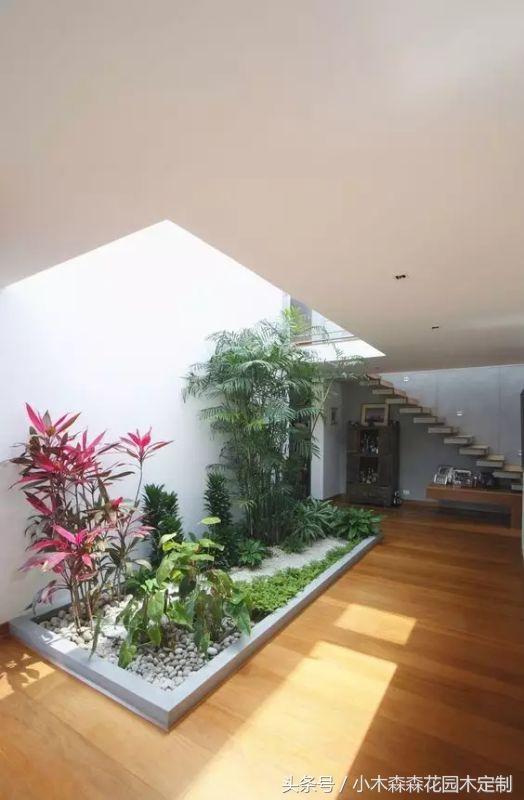 2024新歐式極簡主義別墅花園