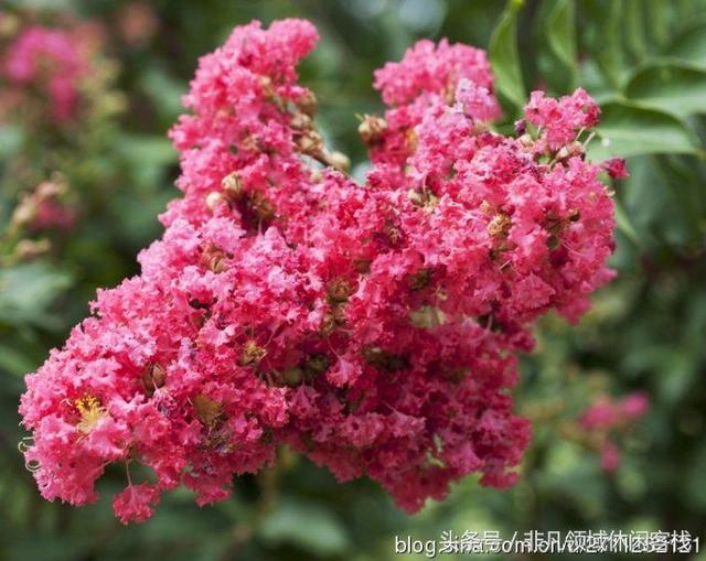 鄉(xiāng)村小別墅的風(fēng)景