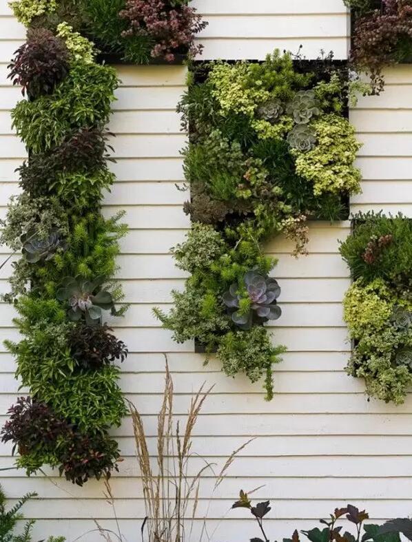 別墅景墻設(shè)計(jì)，多姿多彩