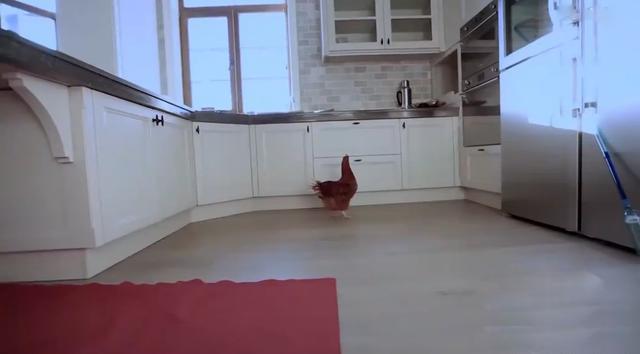 董潔的三層獨(dú)棟小別墅，低調(diào)而溫馨，價值四千萬