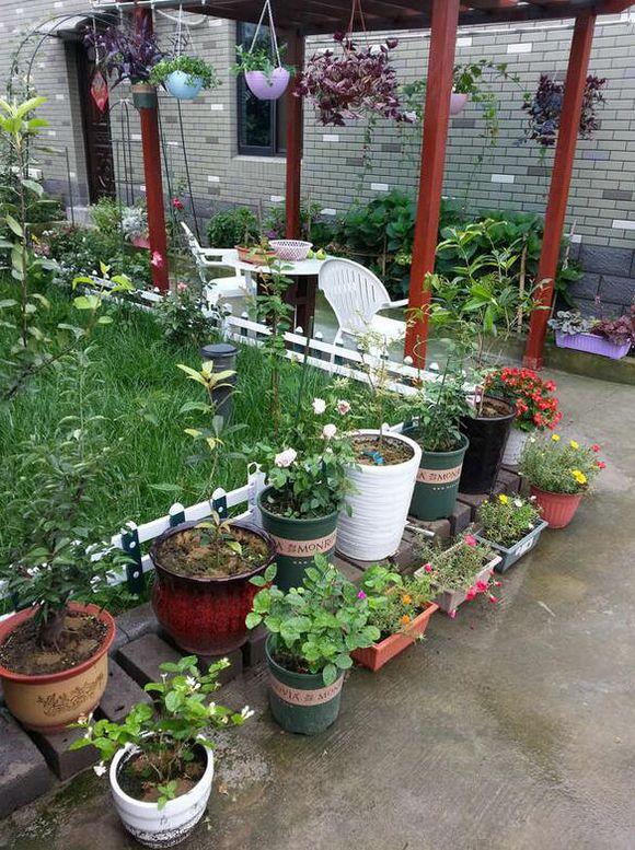 11.5X10.1米農(nóng)村別墅設(shè)計圖，布局實用，造價經(jīng)濟！