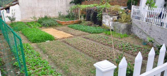 11.5X10.1米農(nóng)村別墅設(shè)計圖，布局實用，造價經(jīng)濟！