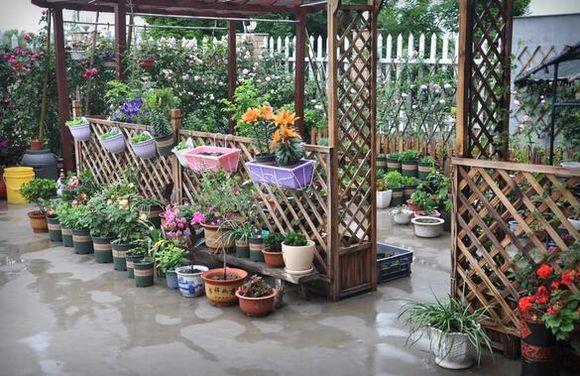 11.5X10.1米農(nóng)村別墅設(shè)計圖，布局實用，造價經(jīng)濟！