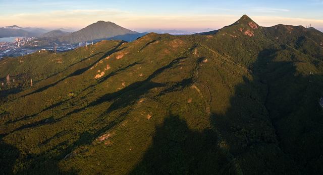 這里有深圳富豪聚居的別墅群，東部華僑城