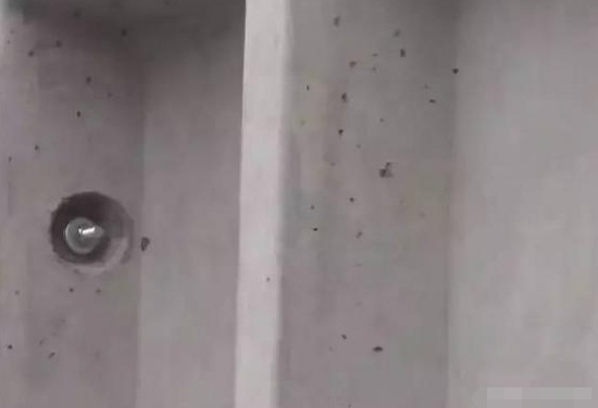 裝配式低層住宅，是未來農(nóng)村自建房的必然發(fā)展趨勢