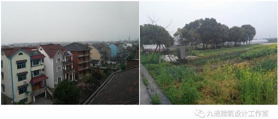 奇！房主稱它為“元寶樓”，它卻綠枝不斷四時春