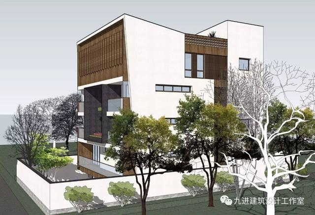 奇！房主稱它為“元寶樓”，它卻綠枝不斷四時春