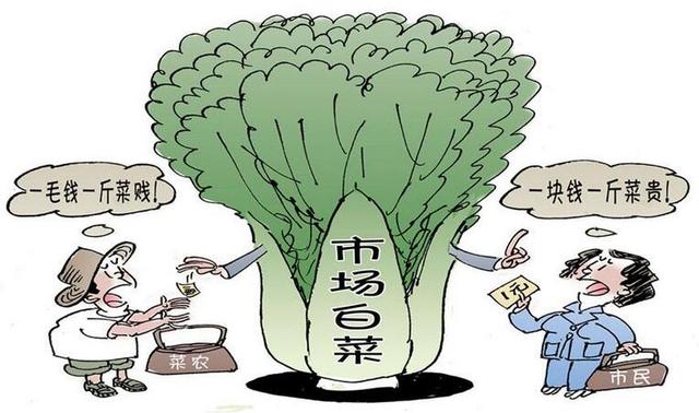 1塊錢買200套別墅圖紙，拿什么拯救農(nóng)村自建蓋房現(xiàn)狀？