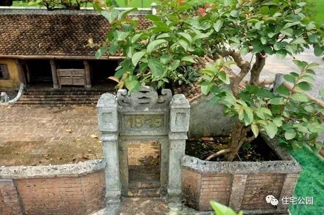 1000元買的農家小院，有樹有水有大瓦房，值么？