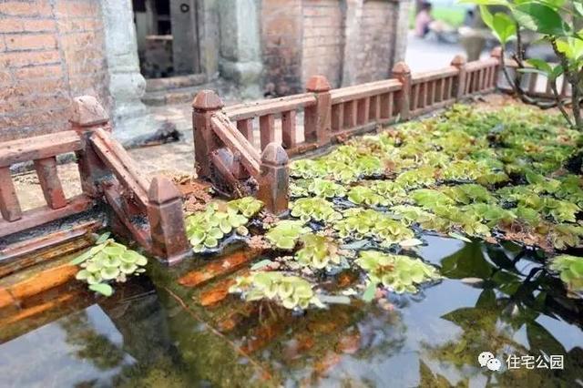 1000元買的農家小院，有樹有水有大瓦房，值么？