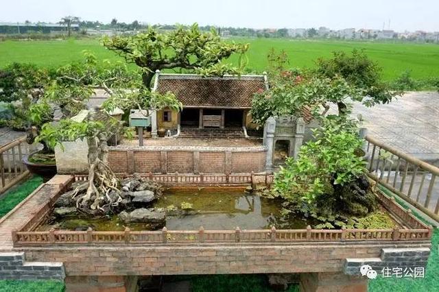 1000元買的農家小院，有樹有水有大瓦房，值么？