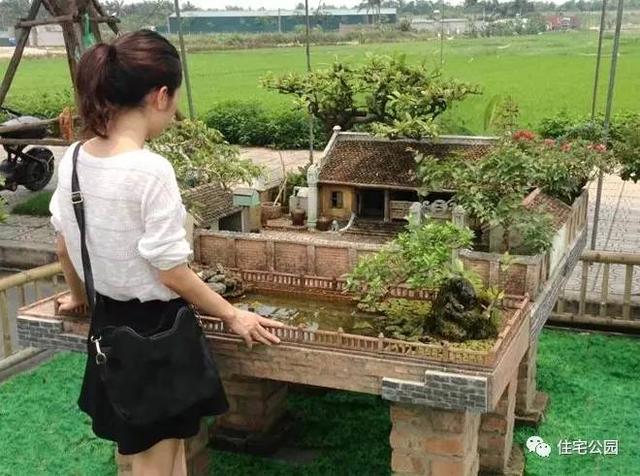 1000元買的農家小院，有樹有水有大瓦房，值么？