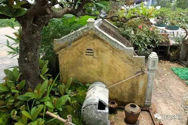 1000元買的農家小院，有樹有水有大瓦房，值么？