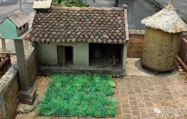 1000元買的農家小院，有樹有水有大瓦房，值么？