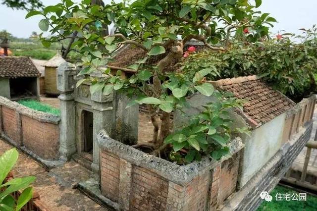 1000元買的農家小院，有樹有水有大瓦房，值么？