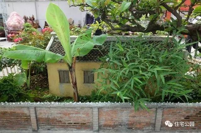 1000元買的農家小院，有樹有水有大瓦房，值么？