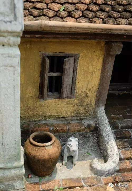 1000元買的農家小院，有樹有水有大瓦房，值么？