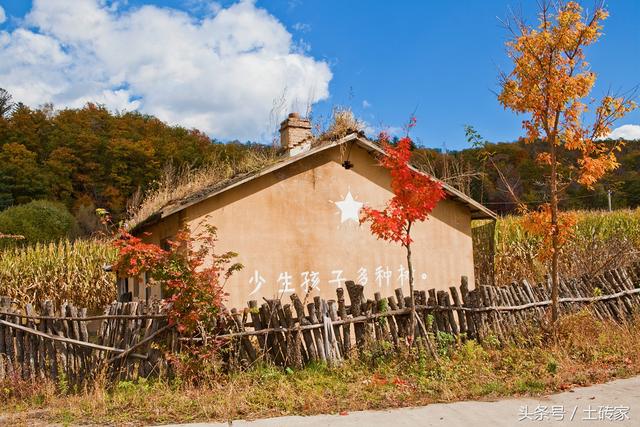 將來，農(nóng)民欠債還不了錢，宅基地及房屋也不會被強制執(zhí)行了