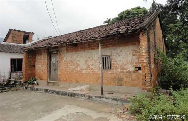 2024年農(nóng)村房屋政策，這三種房屋要被回收