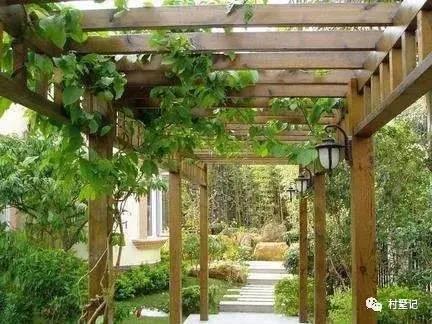 這款中式三層農(nóng)村別墅的格局，我看傻了