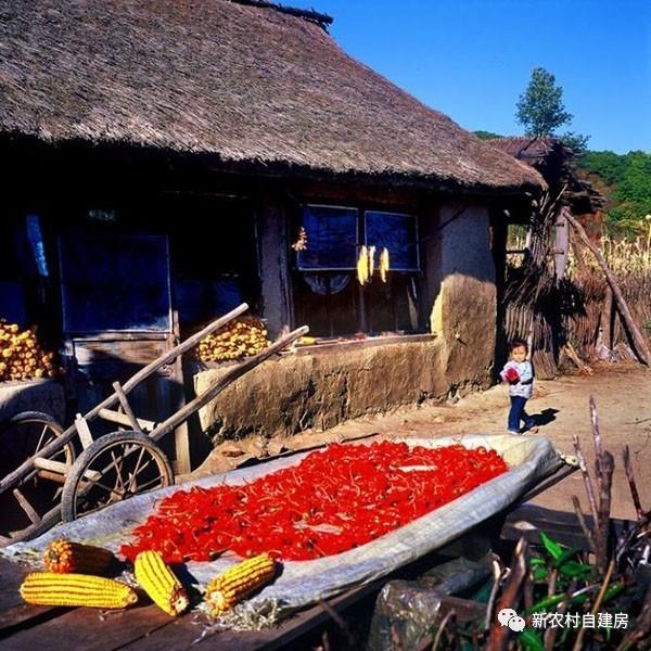 80年代的東北農(nóng)村房屋，看哭了好多人