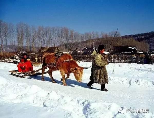 80年代的東北農(nóng)村房屋，看哭了好多人
