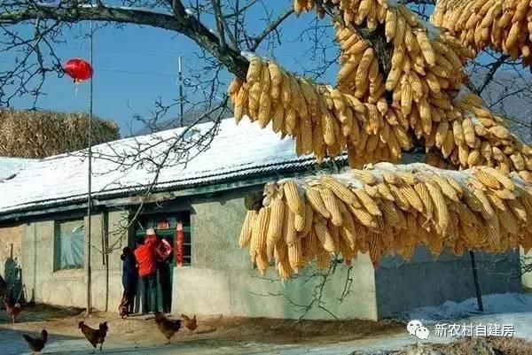 80年代的東北農(nóng)村房屋，看哭了好多人