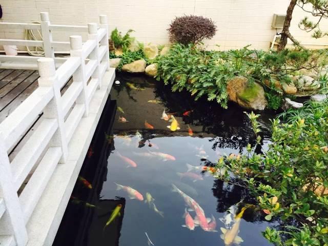 造價(jià)千萬的農(nóng)村豪宅，一塊石頭就花了45萬