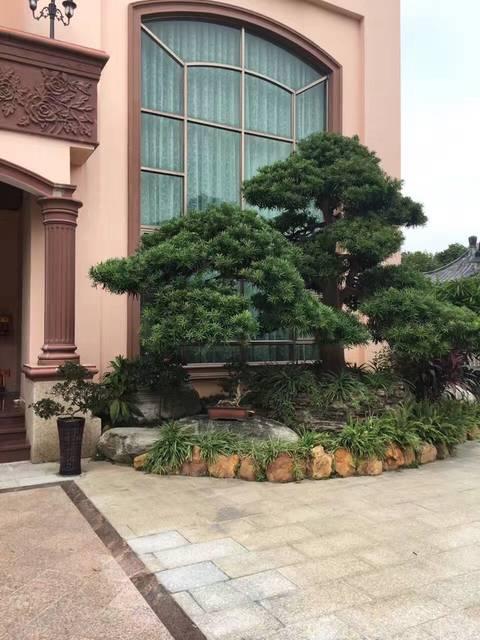 造價(jià)千萬的農(nóng)村豪宅，一塊石頭就花了45萬