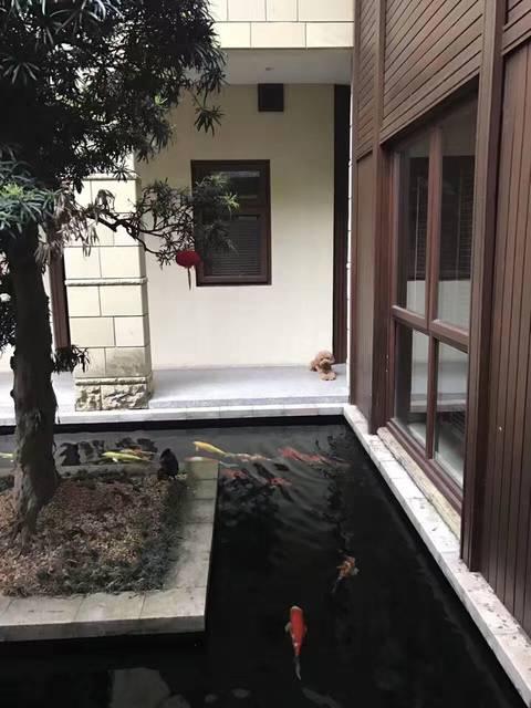 造價(jià)千萬的農(nóng)村豪宅，一塊石頭就花了45萬