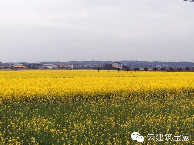 五一小長(zhǎng)假，不想看人頭擁擠？回鄉(xiāng)，看人家怎么玩出品味