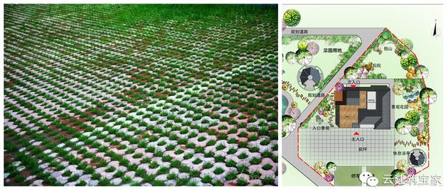 五一小長(zhǎng)假，不想看人頭擁擠？回鄉(xiāng)，看人家怎么玩出品味