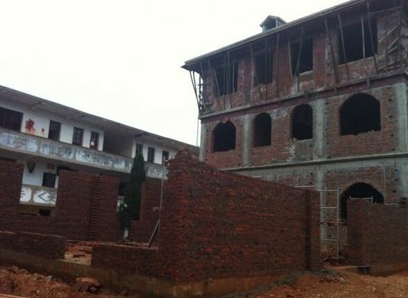 11.4米x11.5米農(nóng)村自建房，有前院還有后院，別說不羨慕