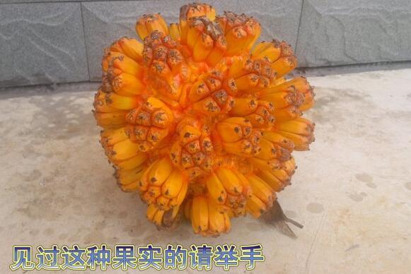 粵西網(wǎng)友建房記錄，讓本想在城里買房的都心動(dòng)了，改回鄉(xiāng)去建房了