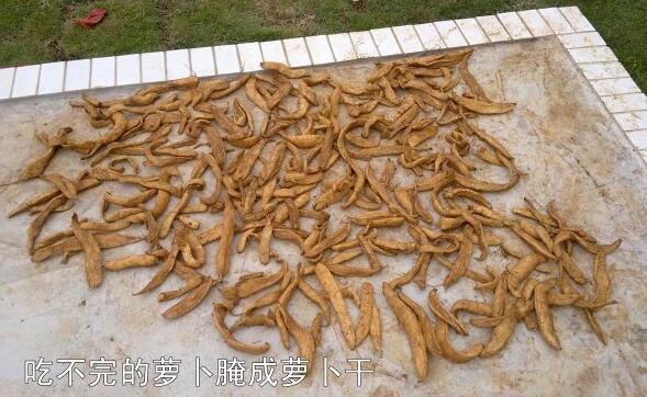 粵西網(wǎng)友建房記錄，讓本想在城里買房的都心動(dòng)了，改回鄉(xiāng)去建房了