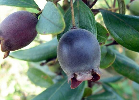 粵西網(wǎng)友建房記錄，讓本想在城里買房的都心動(dòng)了，改回鄉(xiāng)去建房了