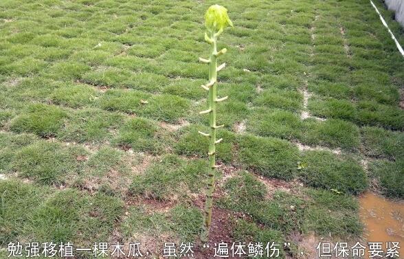 粵西網(wǎng)友建房記錄，讓本想在城里買房的都心動(dòng)了，改回鄉(xiāng)去建房了