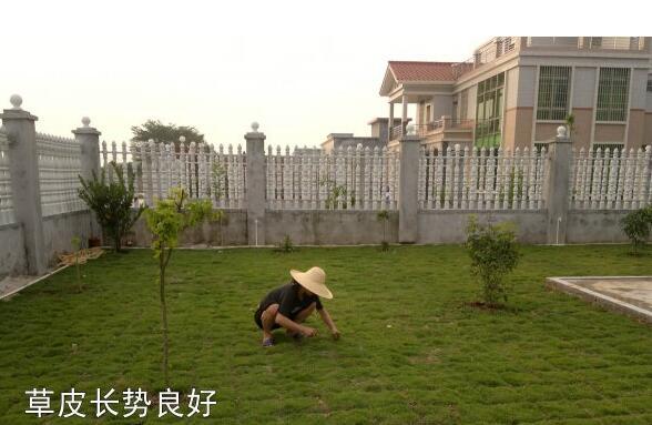 粵西網(wǎng)友建房記錄，讓本想在城里買房的都心動(dòng)了，改回鄉(xiāng)去建房了