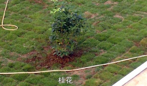 粵西網(wǎng)友建房記錄，讓本想在城里買房的都心動(dòng)了，改回鄉(xiāng)去建房了