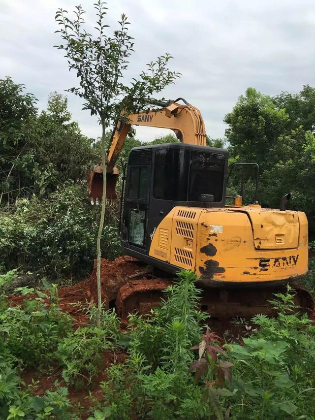 11.5米×10.5米自建小別墅建成，終于實(shí)現(xiàn)父母多年的心愿