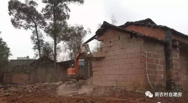 65建兄弟雙拼別墅，重回農(nóng)村，只為父母的期盼