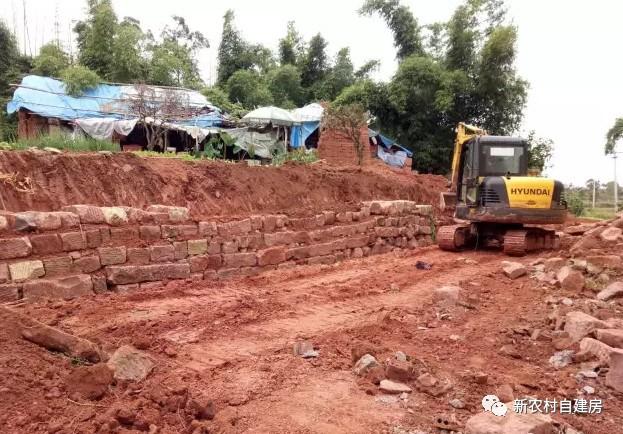 65建兄弟雙拼別墅，重回農(nóng)村，只為父母的期盼