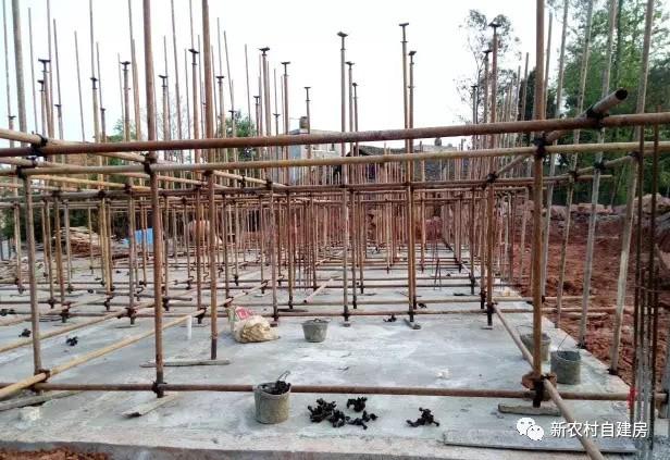 65建兄弟雙拼別墅，重回農(nóng)村，只為父母的期盼